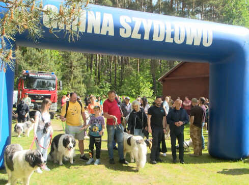 Charytatywny psi spacer po Dobrzycy - grafika