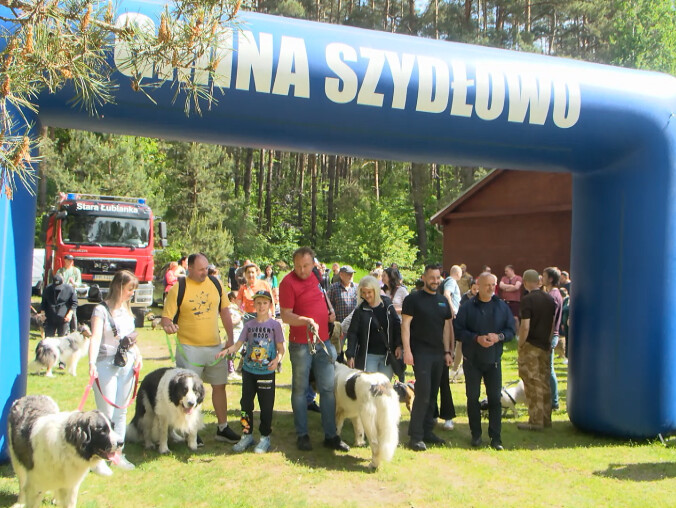 Charytatywny psi spacer po Dobrzycy - grafika