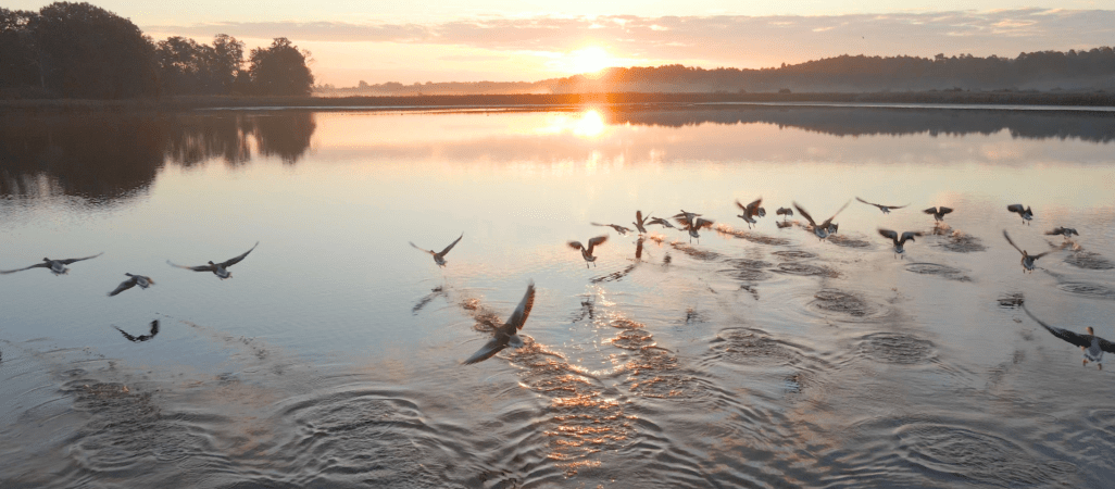Skutki zmian klimatycznych są coraz gorsze