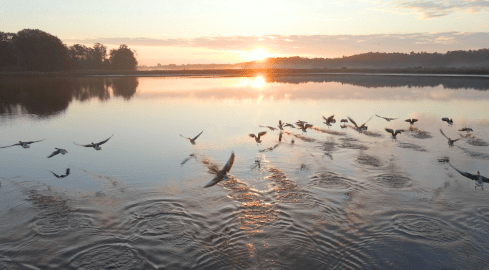 Skutki zmian klimatycznych są coraz gorsze - grafika