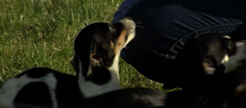 Dobra zabawa wcale nie musi być huczna