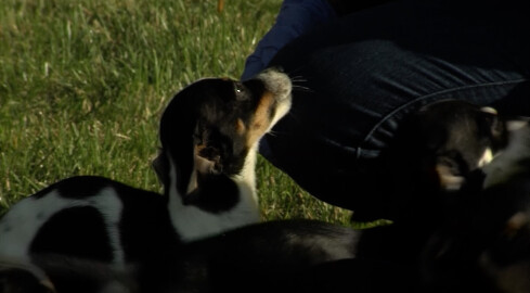 Dobra zabawa wcale nie musi być huczna - grafika