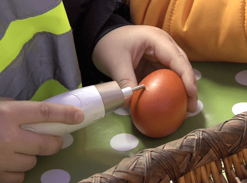 Kiermasze świąteczne w Czarnkowie - grafika