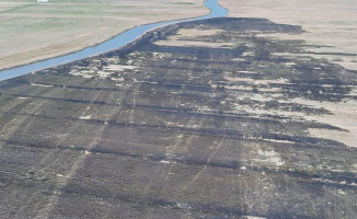 Spaliło się 31 hektarów