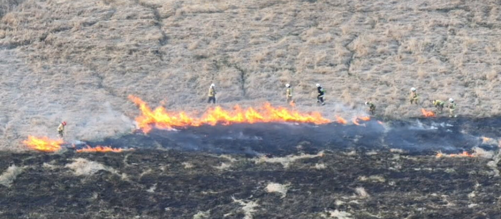 Spaliło się 31 hektarów