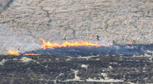 Spaliło się 31 hektarów - grafika