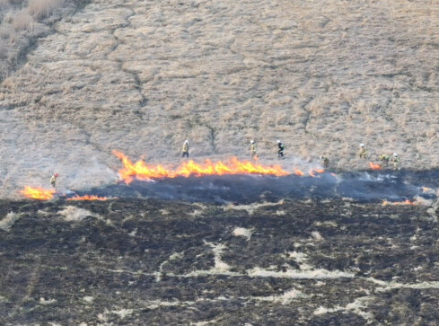 Spaliło się 31 hektarów - grafika