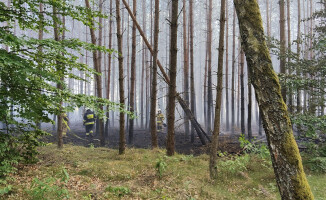 Pali się 5 hektarów lasu