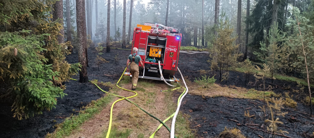 Niebezpieczny pożar lasu