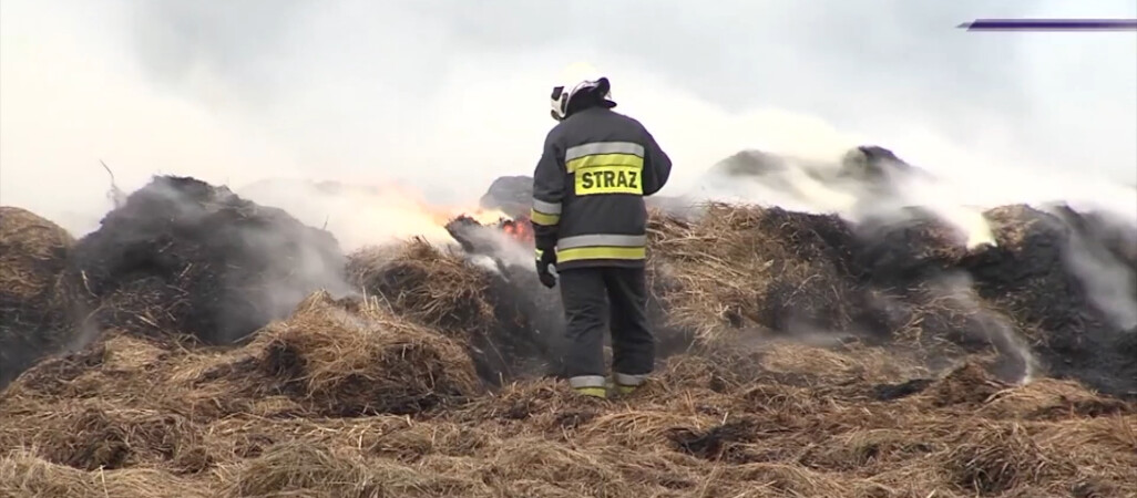 Nowe kary za wypalanie traw