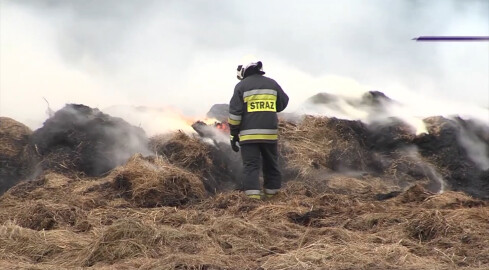Nowe kary za wypalanie traw - grafika