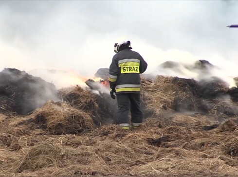 Nowe kary za wypalanie traw - grafika
