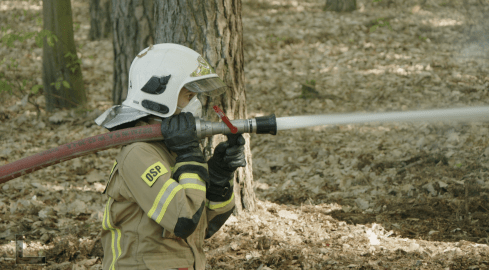 Ćwiczenia ponad 140 strażaków - grafika