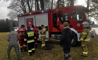 Żubr utknął na zamarzniętym jeziorze