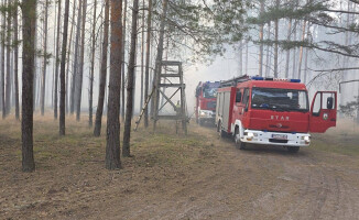 Kilkadziesiąt zastępów walczy z pożarem lasu