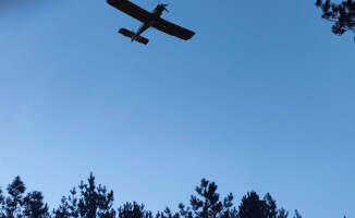 Kilkadziesiąt zastępów walczy z pożarem lasu