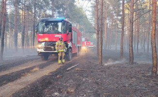 Kilkadziesiąt zastępów walczy z pożarem lasu