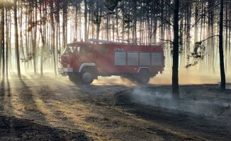 Kilkadziesiąt zastępów walczy z pożarem lasu
