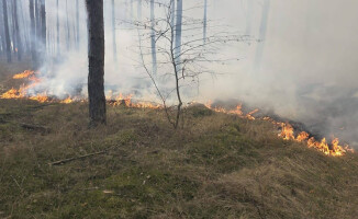Kilkadziesiąt zastępów walczy z pożarem lasu