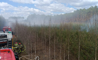 Pali się 10 hektarów lasu [AKTUALIZACJA]