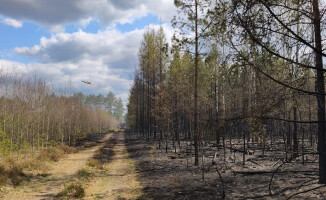Pali się 10 hektarów lasu [AKTUALIZACJA]