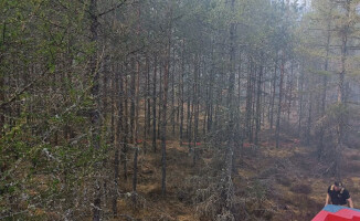 Pali się 10 hektarów lasu [AKTUALIZACJA]