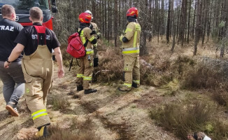 Pali się 10 hektarów lasu [AKTUALIZACJA]