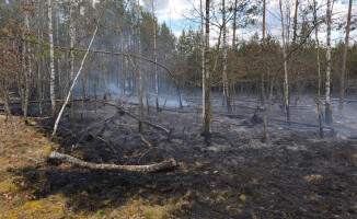 Pali się 10 hektarów lasu [AKTUALIZACJA]