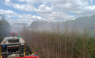 Pali się 10 hektarów lasu [AKTUALIZACJA]