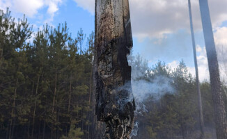 Pali się 10 hektarów lasu [AKTUALIZACJA]