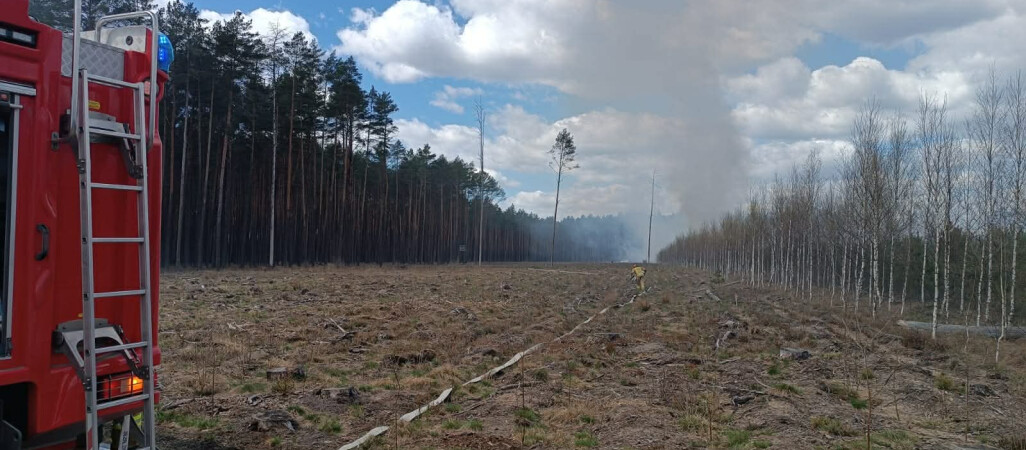 Pali się 10 hektarów lasu [AKTUALIZACJA]
