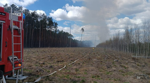 Pali się 10 hektarów lasu [AKTUALIZACJA] - grafika