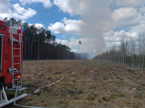 Pali się 10 hektarów lasu [AKTUALIZACJA] - grafika