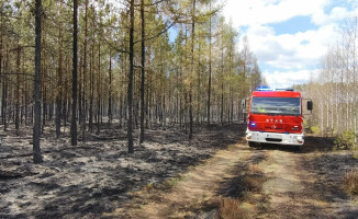Pali się 10 hektarów lasu [AKTUALIZACJA]
