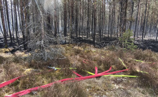Pali się 10 hektarów lasu [AKTUALIZACJA]