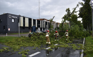 Drzewo spadło na samochód. Rodzina z dwójką dzieci zdążyła uciec