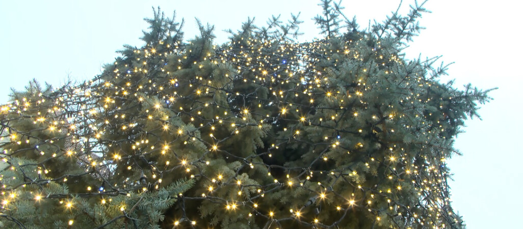 Co dzieje się na Mikołajki?