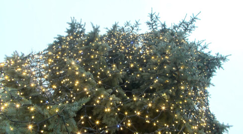 Co dzieje się na Mikołajki? - grafika