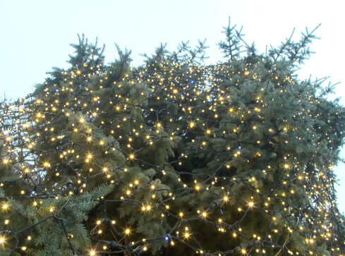 Co dzieje się na Mikołajki? - grafika