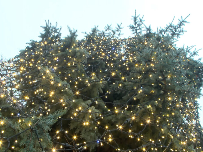 Co dzieje się na Mikołajki? - grafika