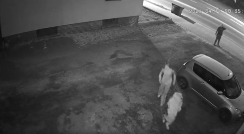 Zwrócił im uwagę, że palą. Grozili i walili w okno - grafika