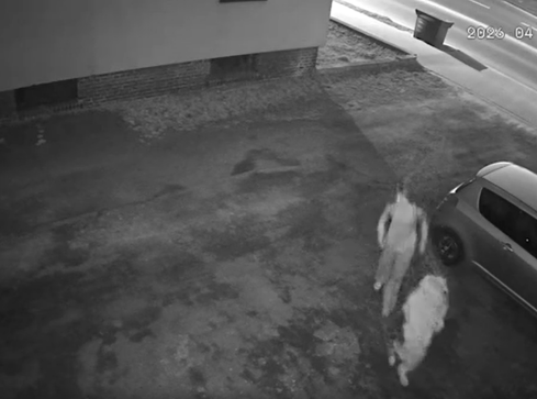 Zwrócił im uwagę, że palą. Grozili i walili w okno - grafika