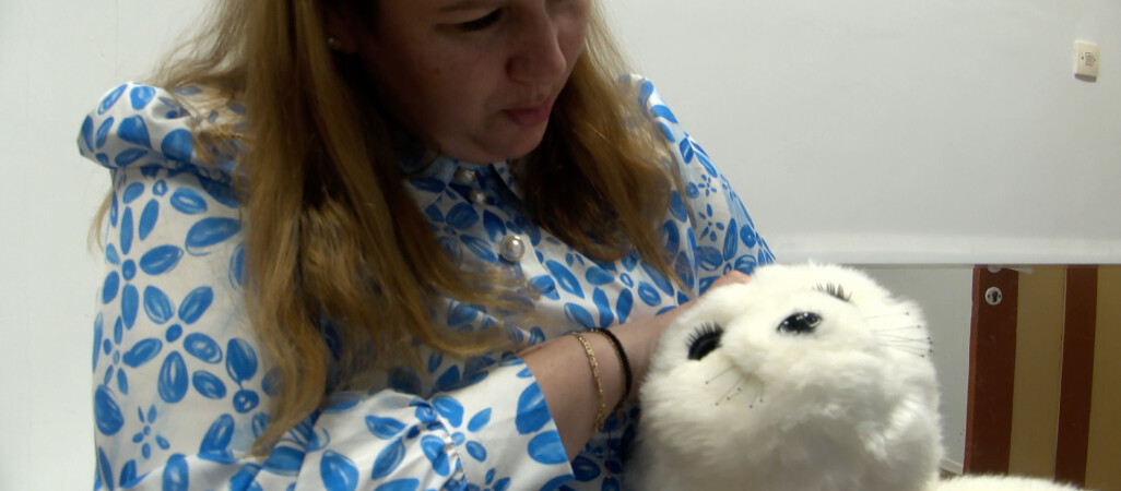 Foka niczym terapeuta