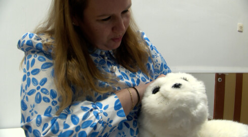 Foka niczym terapeuta - grafika