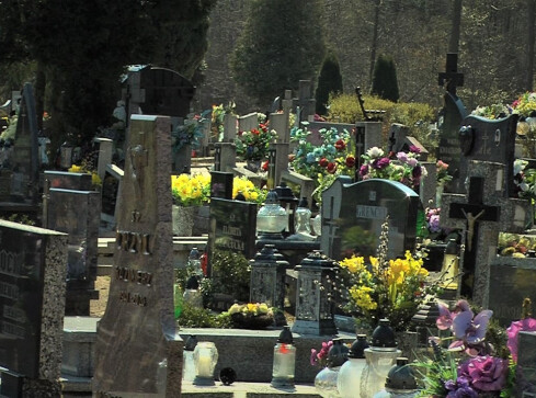 Wyszukiwarka grobów na czarnkowskim cmentarzu  - grafika