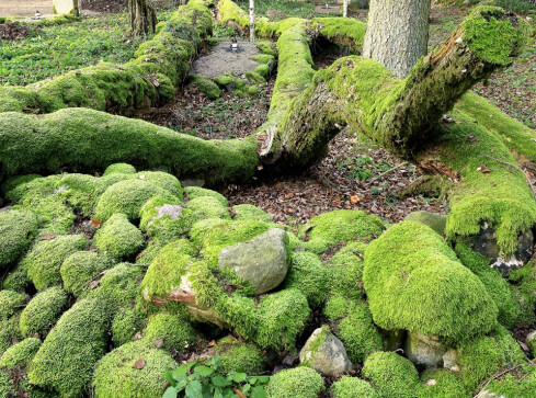 To prawdopodobnie najpiękniejszy cmentarz w Europie  - grafika