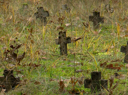 Cmentarz na Leszkowie czeka na renowację - grafika
