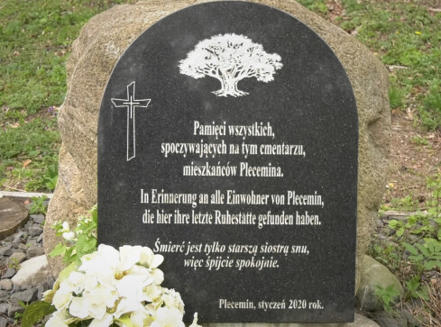 Lasy oddadzą cmentarz ewangelicki?  - grafika