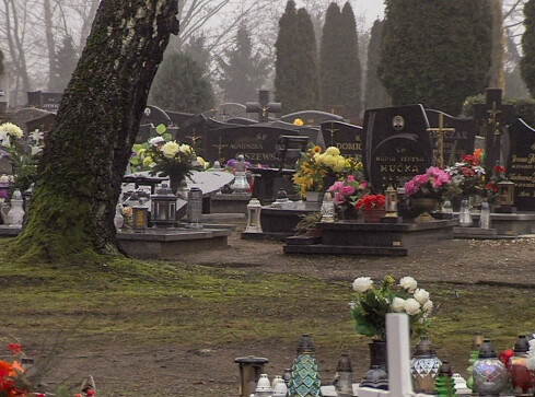 Transmisje pogrzebowych uroczystości na cmentarnym telebimie? - grafika