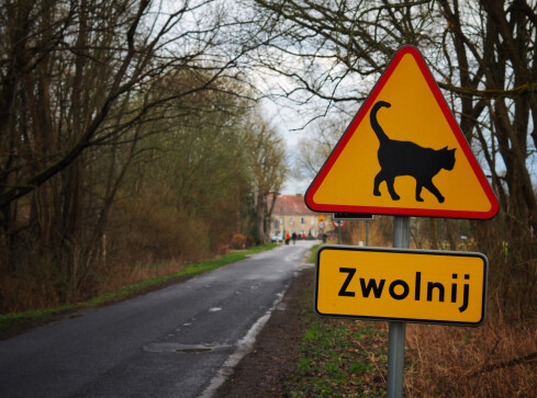 Znakowa samowolka - grafika